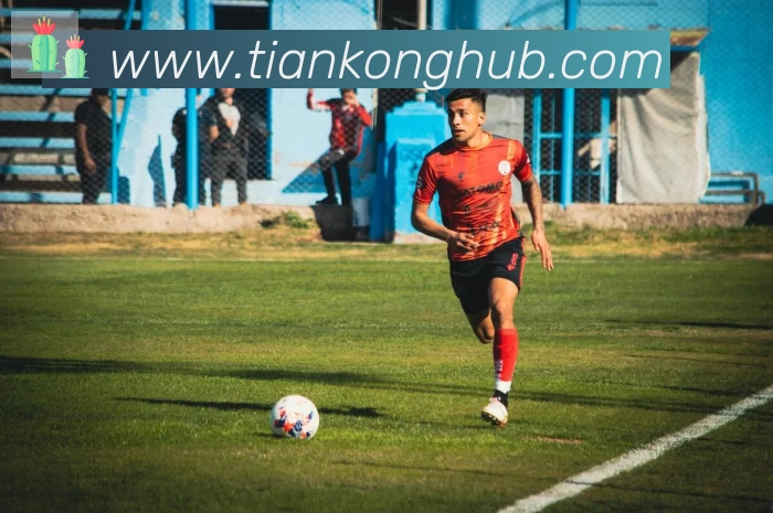 天空体育服务体系