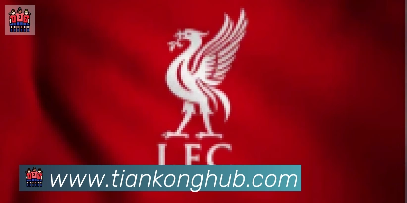 天空体育合作伙伴